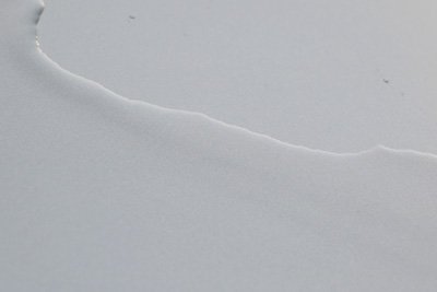 親水コーティング