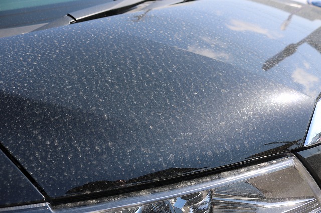 車の塗装に付着した花粉シミ